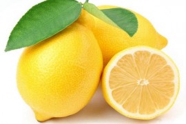 柠檬烘干工艺,柠檬烘干技术