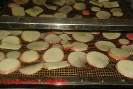 苹果片烘干机 苹果片烘干设备 苹果片烘干房
