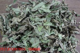 薄荷叶烘干机 薄荷叶烘干设备 薄荷叶烘干原理