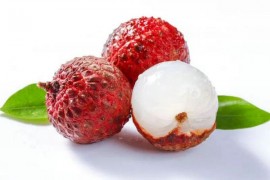 荔枝烘干工艺,荔枝烘干技术