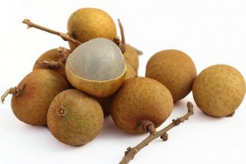 龙眼烘干工艺,龙眼肉烘干技术