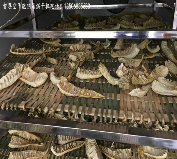 竹笋干燥设备