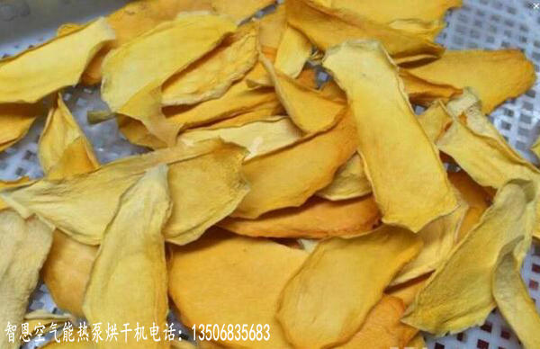 芒果烘干机