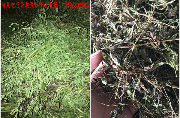 甜叶菊烘干机
