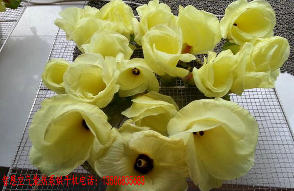 金花葵烘干机