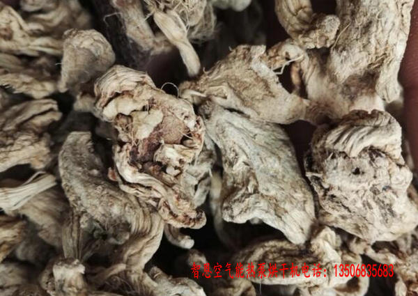 白芨烘干机
