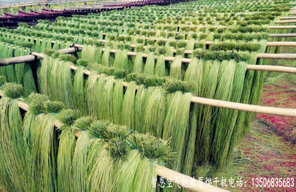 蔺草烘干机