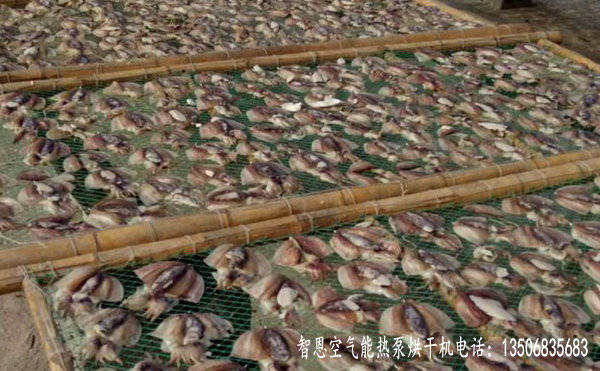 鱿鱼烘干机